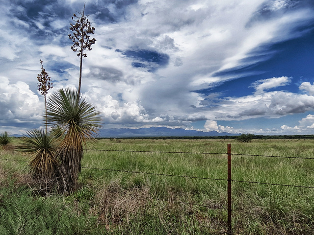 Miracle Valley & Mule Mountains