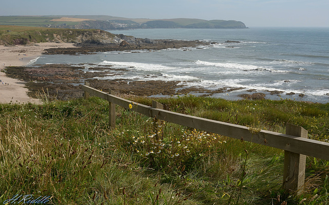 Thurlestone Sands fence