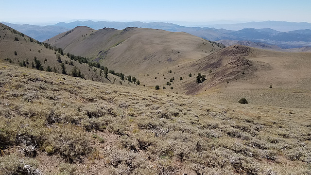 Big Sawmill Canyon