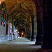 Chester cathedral cloisters