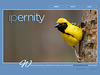 ipernity homepage with #1494