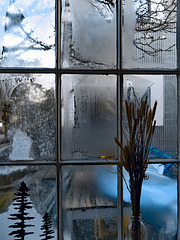 Window ice
