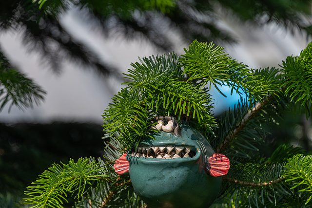 156-365, Ich will doch nur spielen ... ;-D