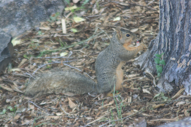 IMG 4695