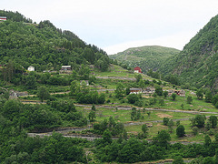 Ørneveien