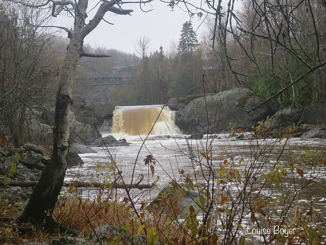 Au parc des chutes