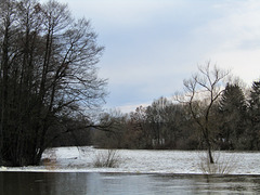 an der Naab