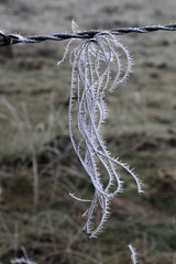 Hoarfrost