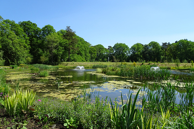 Dumfries House Gardens