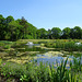 Dumfries House Gardens