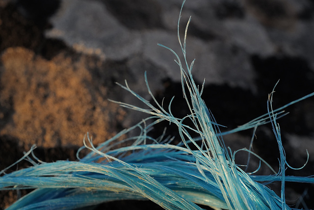 Blue fibres