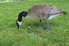 IMG 3769