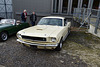 nydgbjan12024 (1099)