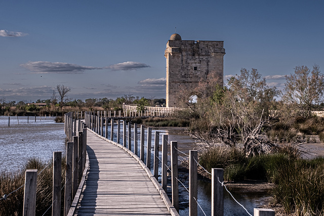 Camargue - la tour Carbonnière