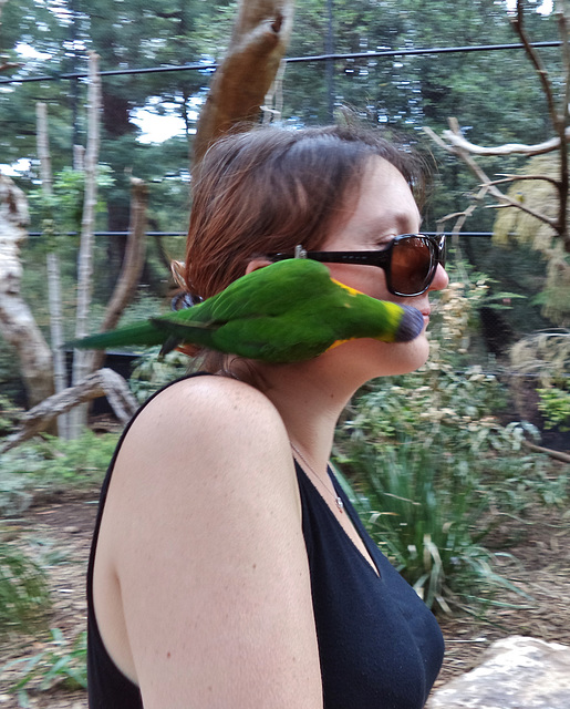 Jennifer and the rainbow lorikeet