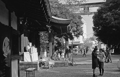 People on the shrine ground