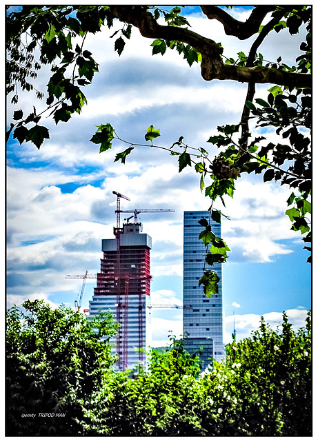 Basel Rocheturm II im Bau