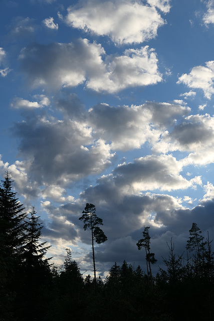 Wolken am 23.08.2020