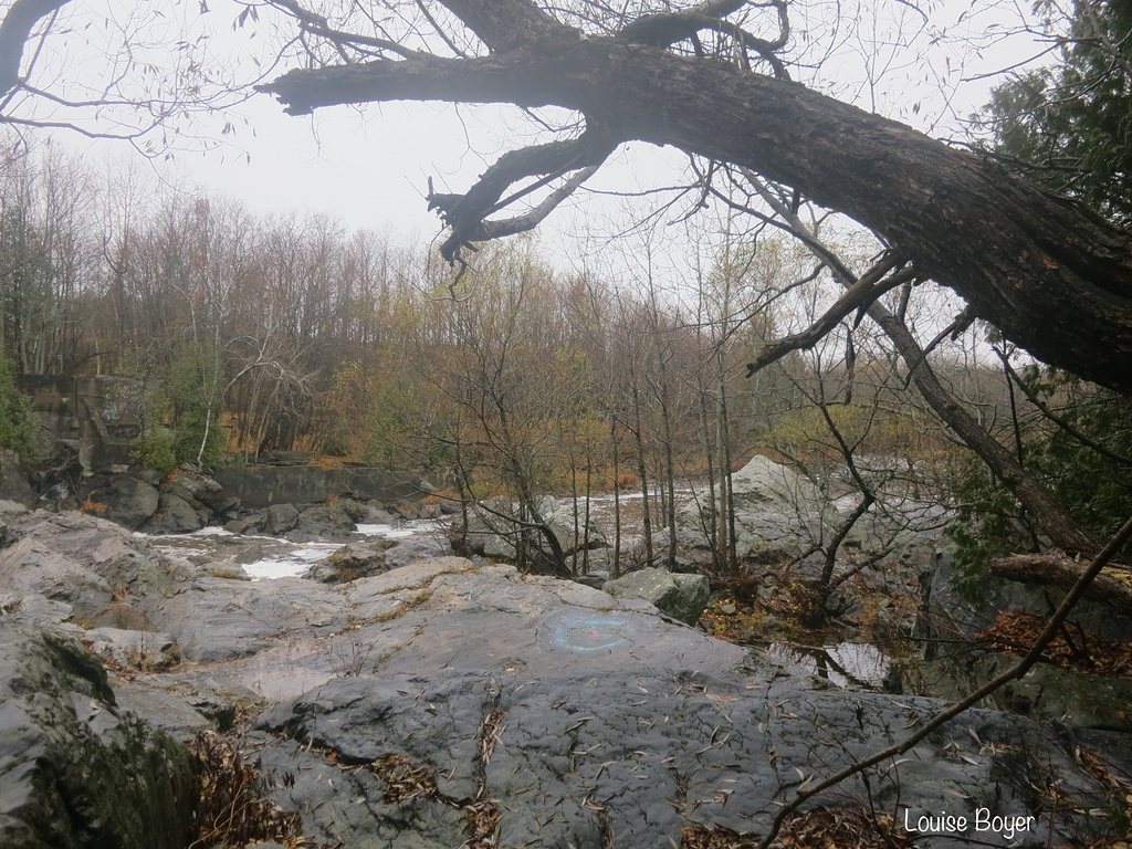 Parc des chutes à Rivière du Loup