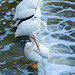 meeting at the spillway