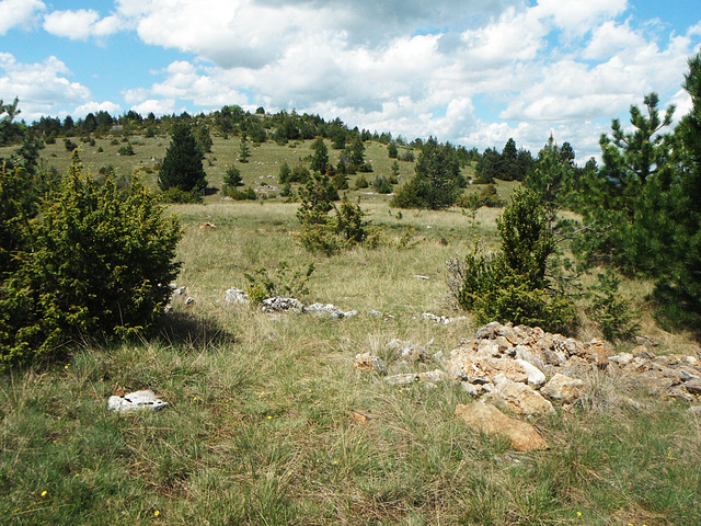 51-Paysage typique du Causse