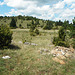 51-Paysage typique du Causse