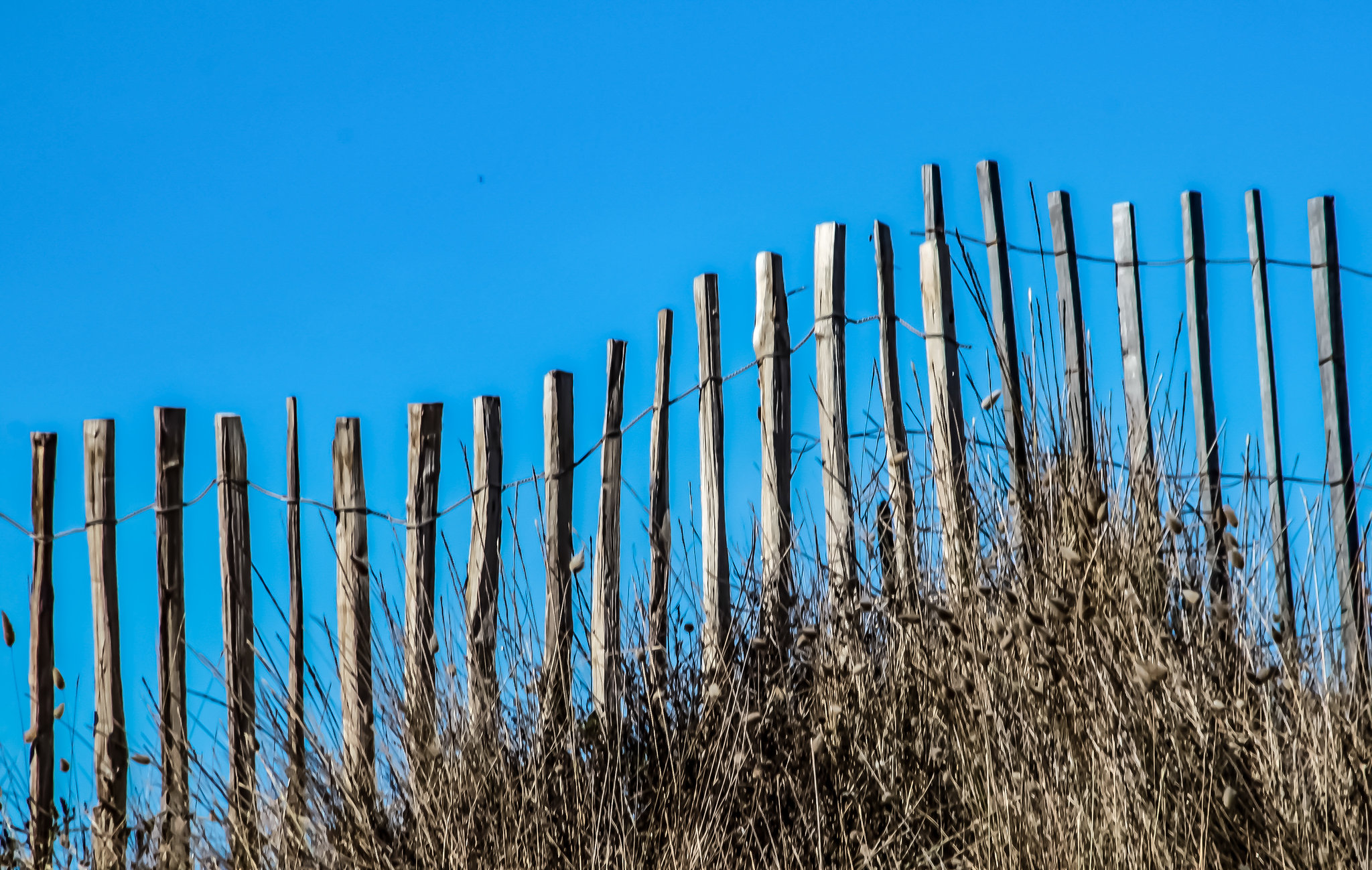 A Fence for Friday