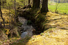 Kurpark Bad Steben
