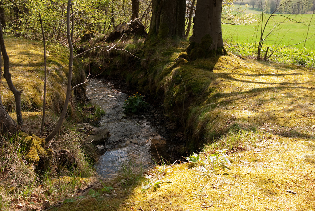 Kurpark Bad Steben