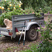 Alceste, le chat jardinier (entre autres...)