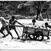 Kambodscha - Arbeitende Männer