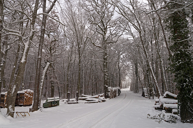 Gächlinger Holzplatz