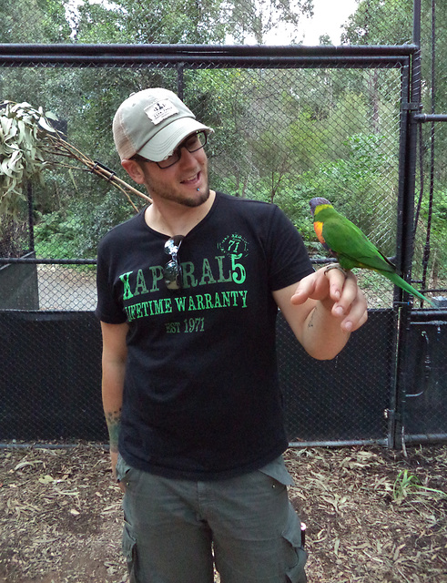 William and the rainbow lorikeet