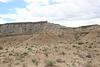 IMG 7372