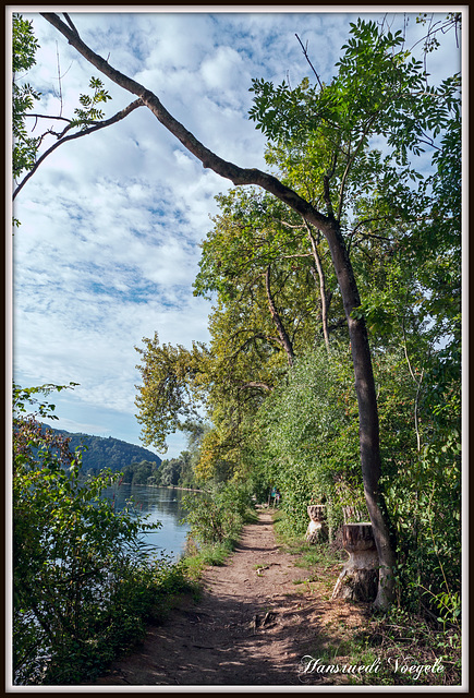 Biberweg am Rhein