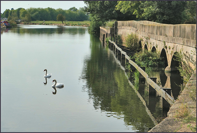 ''A Happy fence Friday'' to all - and 'Good wishes' too... from > Dj.