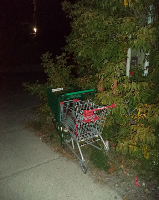 Homeless' carts / Remorque pour les sans-abris