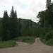 IMG 7208 adj