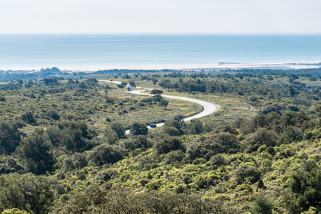 Montagne de la Clape: Strasse zw. Narbonne-Plage und Hospitalet (Str. n. Narbonne) - 2015-04-23--D4_DSC0469