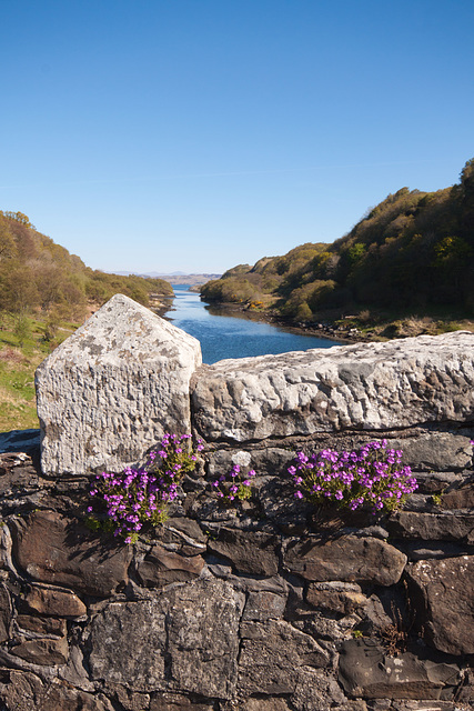 Looking north on the Clachan Bridge