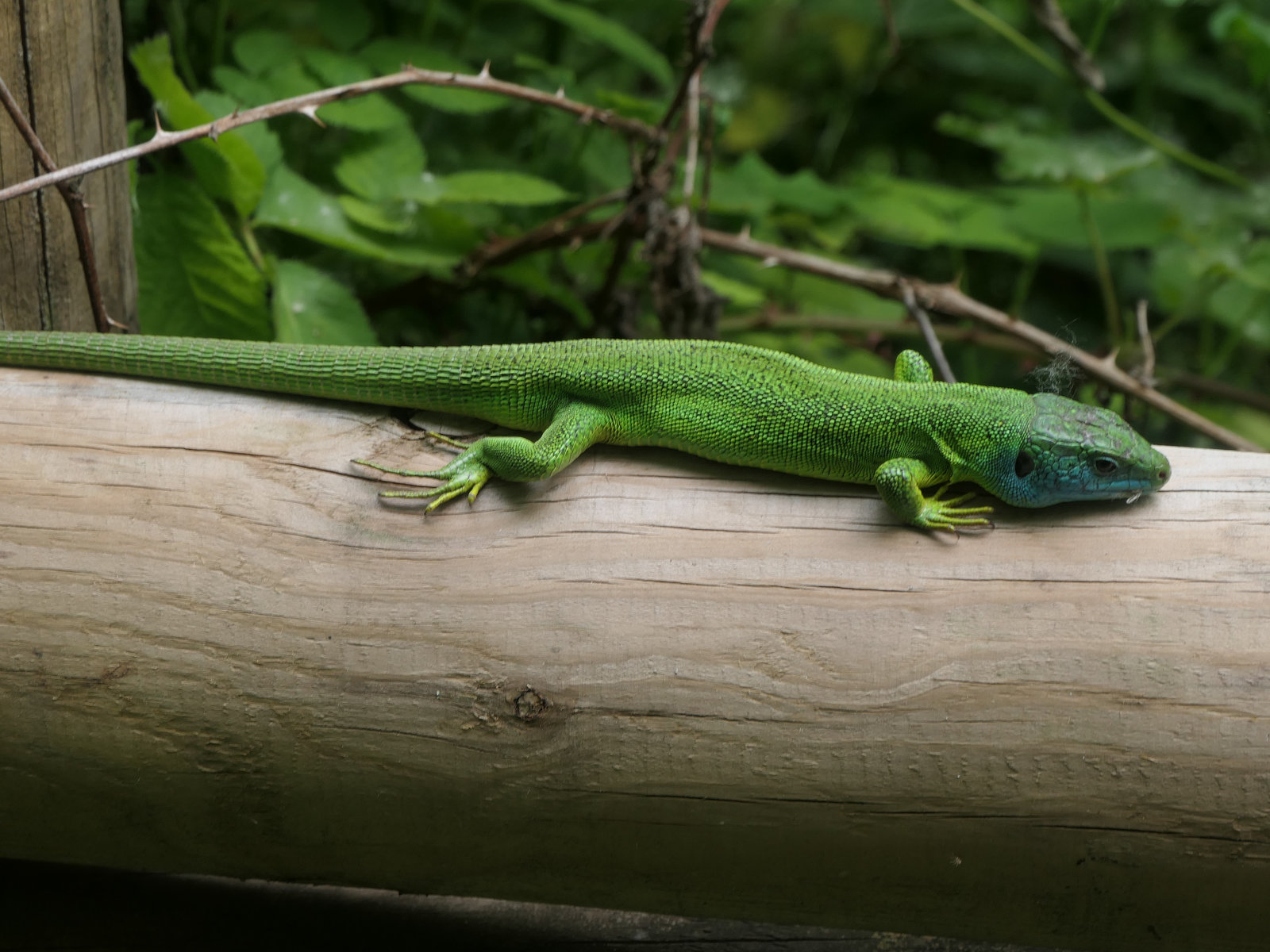 Une jolie rencontre !