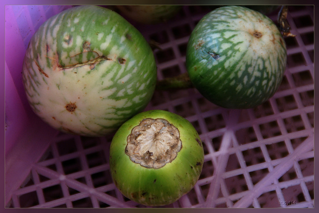 zucchini, ronde courgette