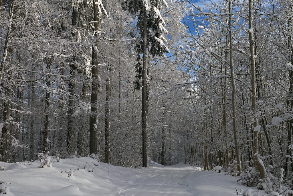 Herrlicher Anblick