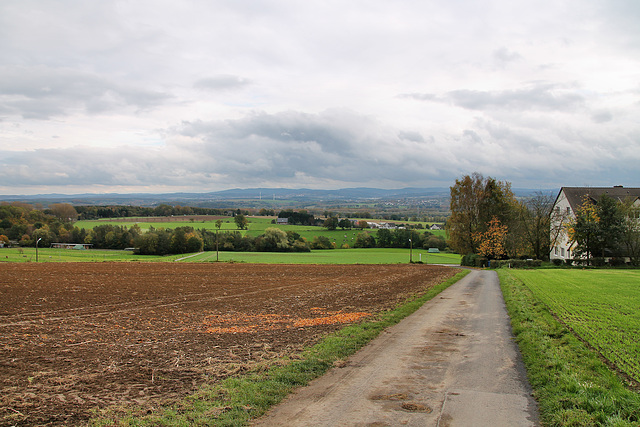 Höhenweg, Aussicht über das Ruhrtal (Holzwickede-Hengsen) / 21.10.2017