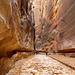 #28 - Mariagrazia Gaggero - Due passi nel siq di Petra - 6̊ 5points