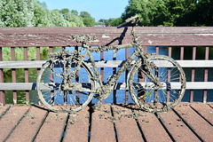 Bicycle of the Creature from the Black Lagoon