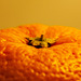 Macro Mondays - Orange