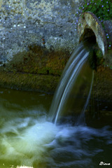 Pause très lente, l'eau est une denrée à ménager