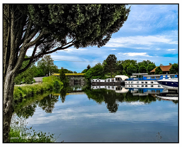 Kanal bei Dannemarie