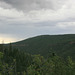 IMG 7211 adj